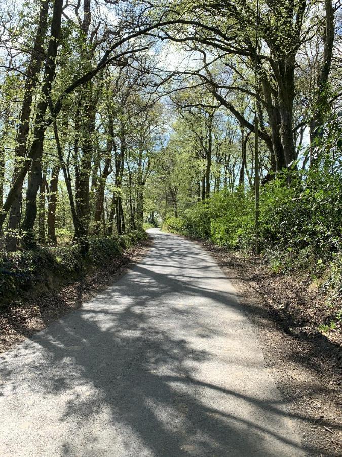 Molesworth Accommodation, Pyworthy, Devon Holsworthy Bagian luar foto