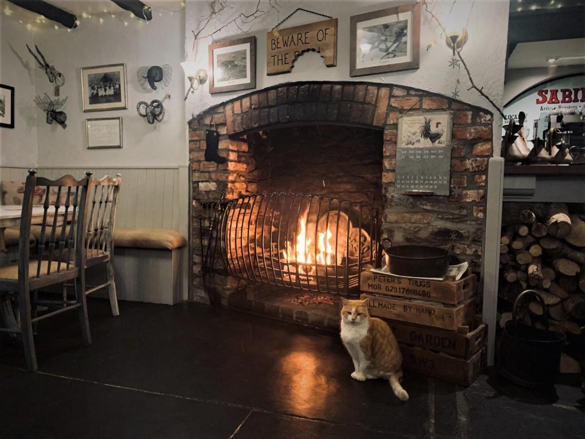Molesworth Accommodation, Pyworthy, Devon Holsworthy Bagian luar foto
