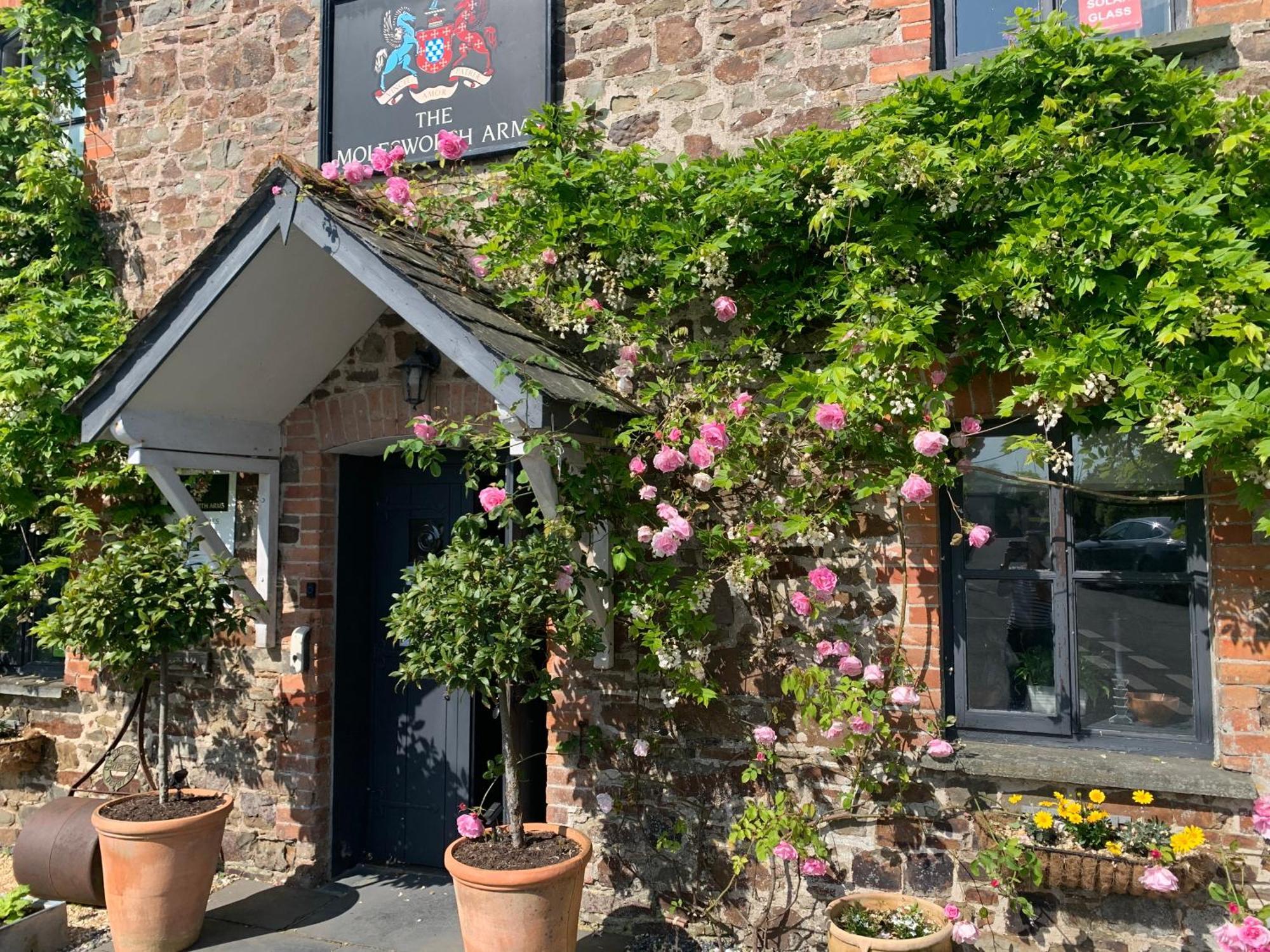 Molesworth Accommodation, Pyworthy, Devon Holsworthy Bagian luar foto